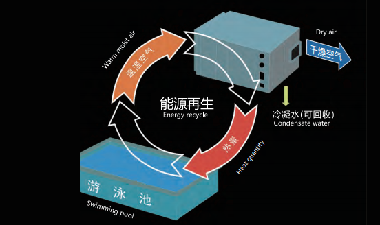 泳池除濕設(shè)備,泳池除濕機