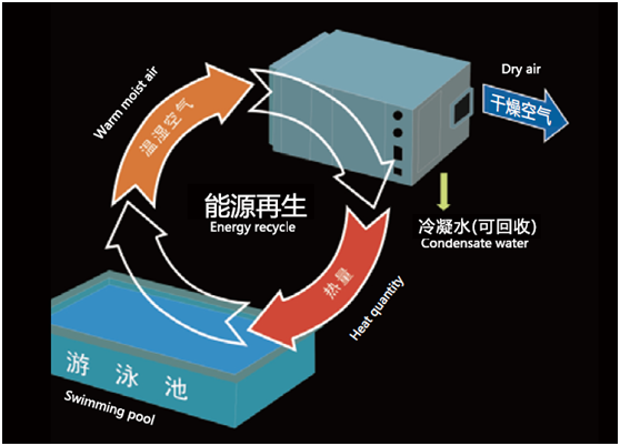 室內(nèi)泳池恒溫恒濕系統(tǒng)